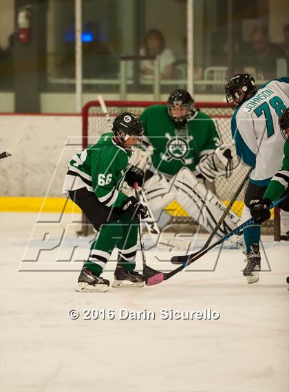 Thumbnail 1 in Highland vs. Basha Perry photogallery.