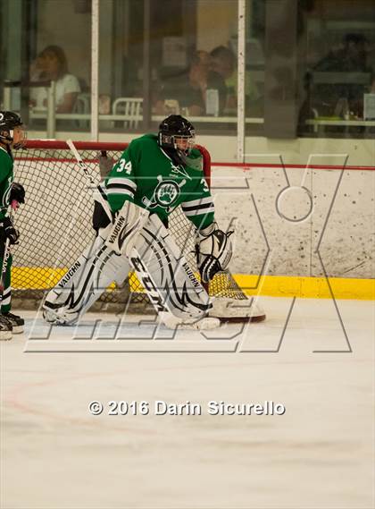 Thumbnail 2 in Highland vs. Basha Perry photogallery.