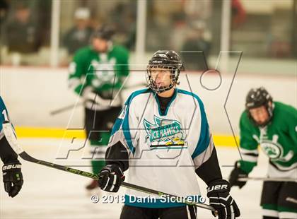 Thumbnail 2 in Highland vs. Basha Perry photogallery.
