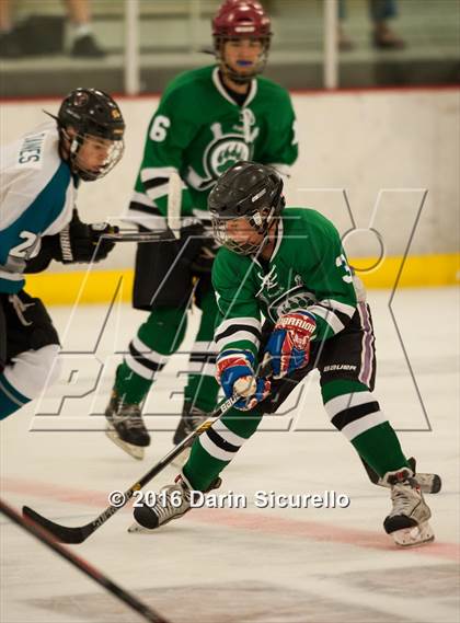 Thumbnail 3 in Highland vs. Basha Perry photogallery.