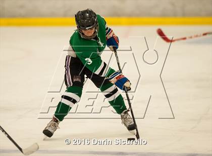 Thumbnail 3 in Highland vs. Basha Perry photogallery.