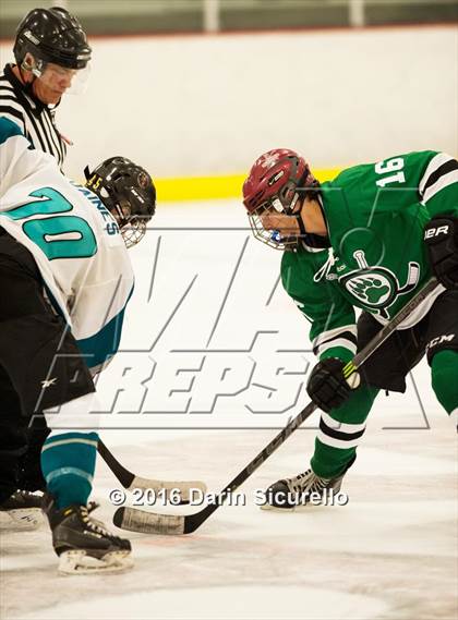 Thumbnail 1 in Highland vs. Basha Perry photogallery.