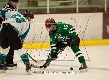 Thumbnail 2 in Highland vs. Basha Perry photogallery.