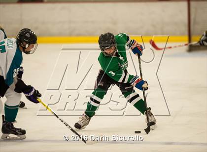 Thumbnail 1 in Highland vs. Basha Perry photogallery.