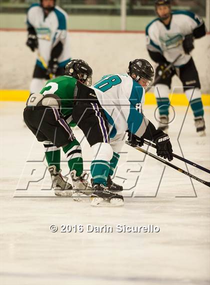 Thumbnail 2 in Highland vs. Basha Perry photogallery.