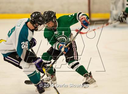 Thumbnail 2 in Highland vs. Basha Perry photogallery.