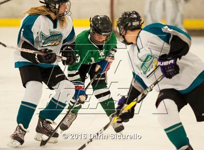 Thumbnail 3 in Highland vs. Basha Perry photogallery.