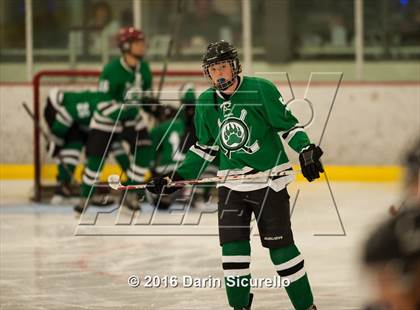 Thumbnail 2 in Highland vs. Basha Perry photogallery.