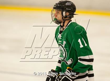 Thumbnail 1 in Highland vs. Basha Perry photogallery.