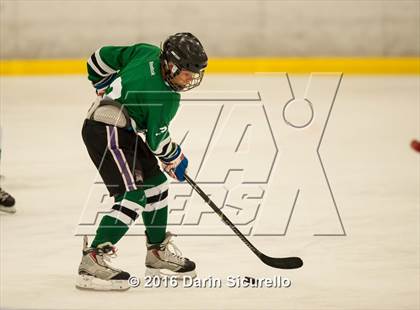 Thumbnail 1 in Highland vs. Basha Perry photogallery.