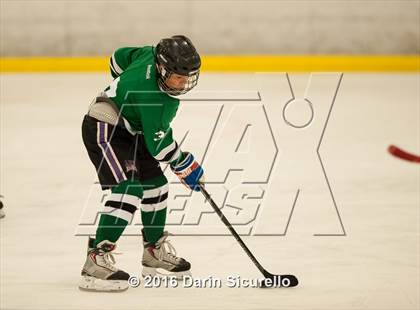 Thumbnail 2 in Highland vs. Basha Perry photogallery.