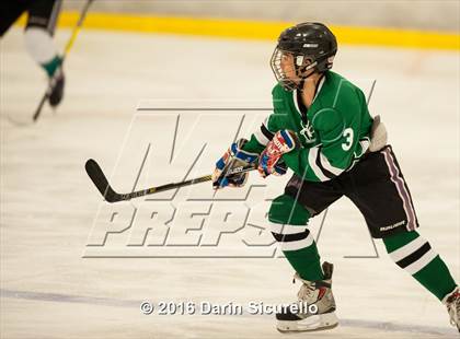 Thumbnail 2 in Highland vs. Basha Perry photogallery.