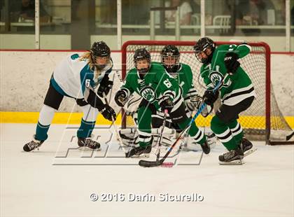 Thumbnail 1 in Highland vs. Basha Perry photogallery.