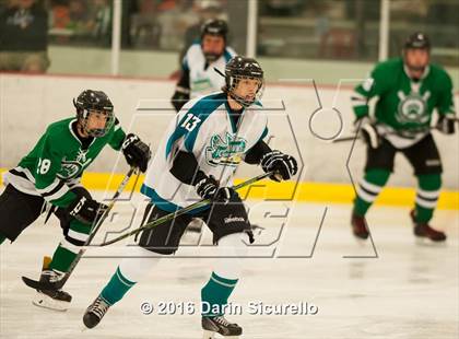 Thumbnail 3 in Highland vs. Basha Perry photogallery.