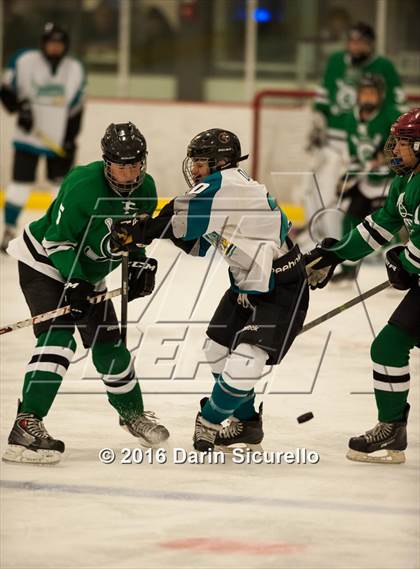 Thumbnail 3 in Highland vs. Basha Perry photogallery.