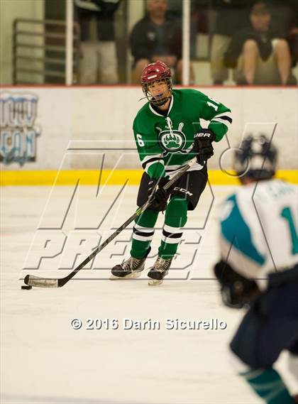 Thumbnail 2 in Highland vs. Basha Perry photogallery.