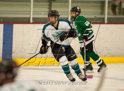 Thumbnail 2 in Highland vs. Basha Perry photogallery.