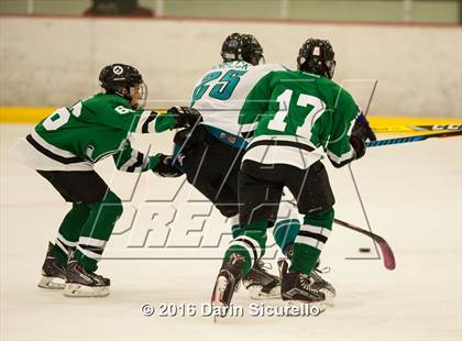 Thumbnail 2 in Highland vs. Basha Perry photogallery.