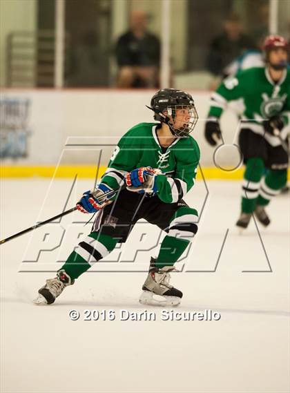 Thumbnail 2 in Highland vs. Basha Perry photogallery.