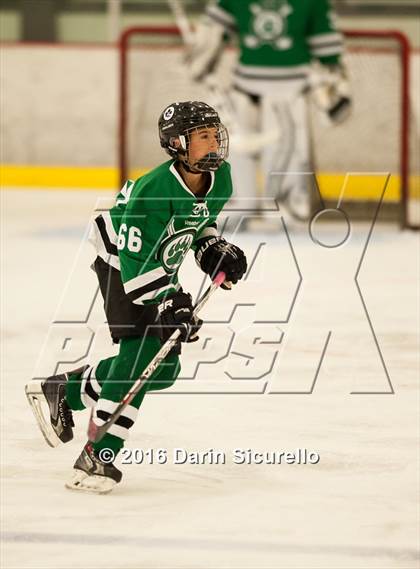 Thumbnail 2 in Highland vs. Basha Perry photogallery.