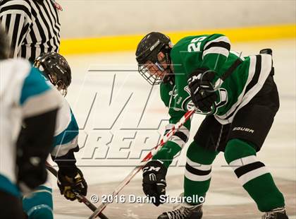 Thumbnail 2 in Highland vs. Basha Perry photogallery.