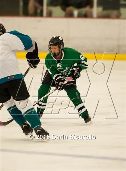 Thumbnail 3 in Highland vs. Basha Perry photogallery.