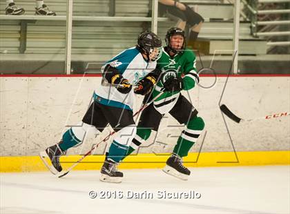 Thumbnail 2 in Highland vs. Basha Perry photogallery.