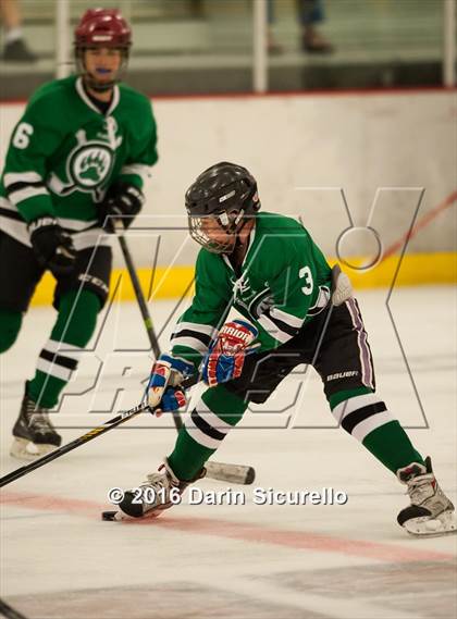 Thumbnail 2 in Highland vs. Basha Perry photogallery.
