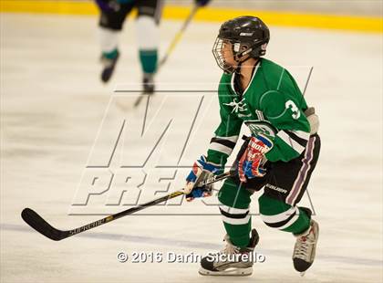 Thumbnail 3 in Highland vs. Basha Perry photogallery.