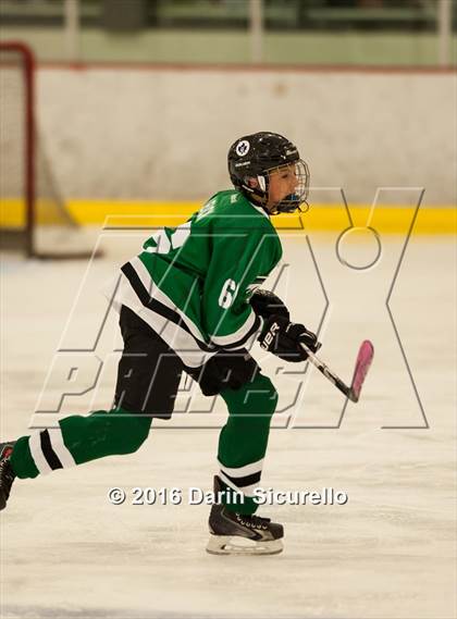 Thumbnail 3 in Highland vs. Basha Perry photogallery.