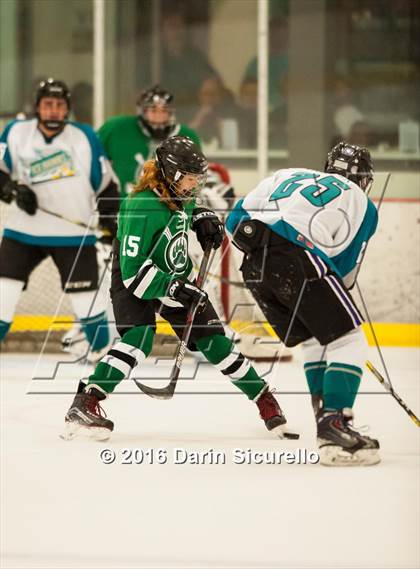 Thumbnail 3 in Highland vs. Basha Perry photogallery.