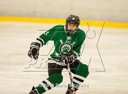Thumbnail 1 in Highland vs. Basha Perry photogallery.