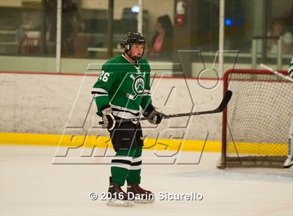 Thumbnail 1 in Highland vs. Basha Perry photogallery.