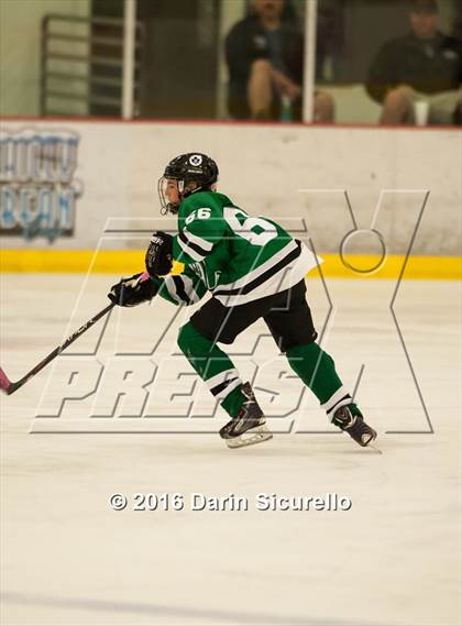 Thumbnail 2 in Highland vs. Basha Perry photogallery.