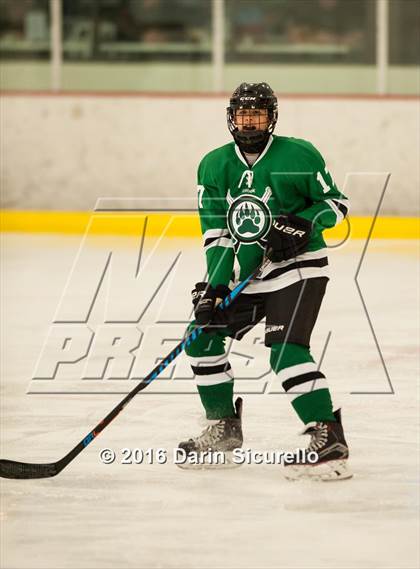 Thumbnail 1 in Highland vs. Basha Perry photogallery.