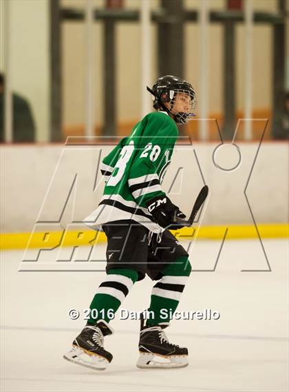Thumbnail 2 in Highland vs. Basha Perry photogallery.