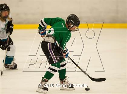 Thumbnail 3 in Highland vs. Basha Perry photogallery.