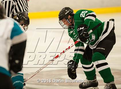 Thumbnail 3 in Highland vs. Basha Perry photogallery.