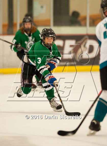 Thumbnail 3 in Highland vs. Basha Perry photogallery.