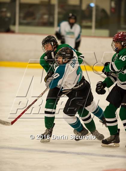 Thumbnail 2 in Highland vs. Basha Perry photogallery.