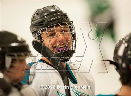 Thumbnail 1 in Highland vs. Basha Perry photogallery.