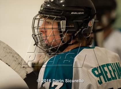 Thumbnail 1 in Highland vs. Basha Perry photogallery.