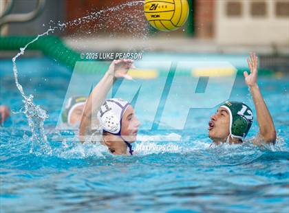 Thumbnail 2 in Tokay @ Kennedy photogallery.