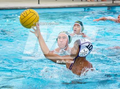 Thumbnail 3 in Tokay @ Kennedy photogallery.