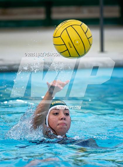 Thumbnail 2 in Tokay @ Kennedy photogallery.
