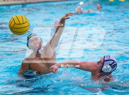 Thumbnail 2 in Tokay @ Kennedy photogallery.