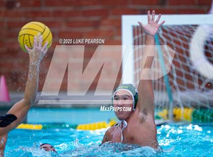 Thumbnail 3 in Tokay @ Kennedy photogallery.