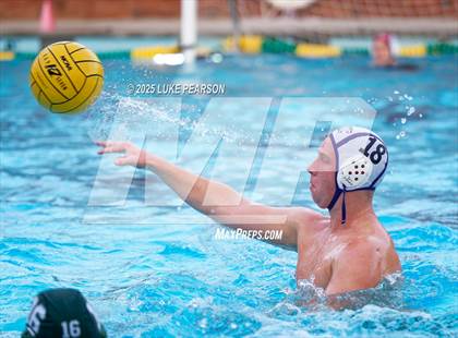 Thumbnail 2 in Tokay @ Kennedy photogallery.