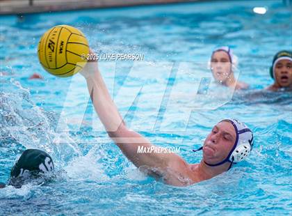 Thumbnail 2 in Tokay @ Kennedy photogallery.