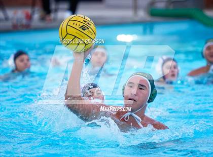 Thumbnail 2 in Tokay @ Kennedy photogallery.